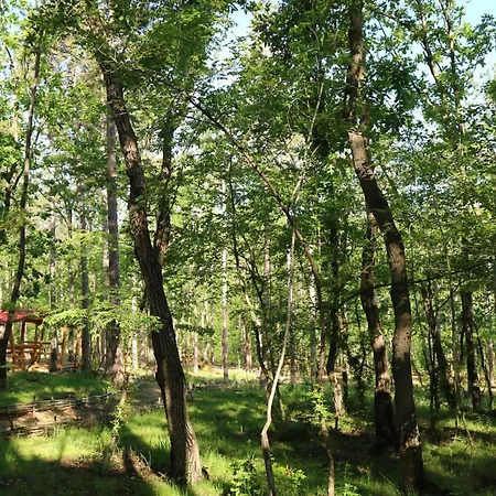 Hotel Park Bellevue 3*