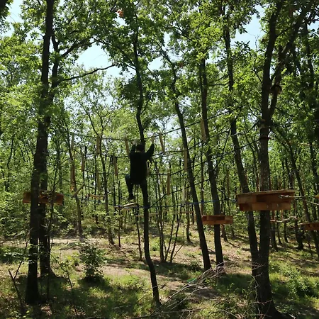 Park Bellevue Golden Sands