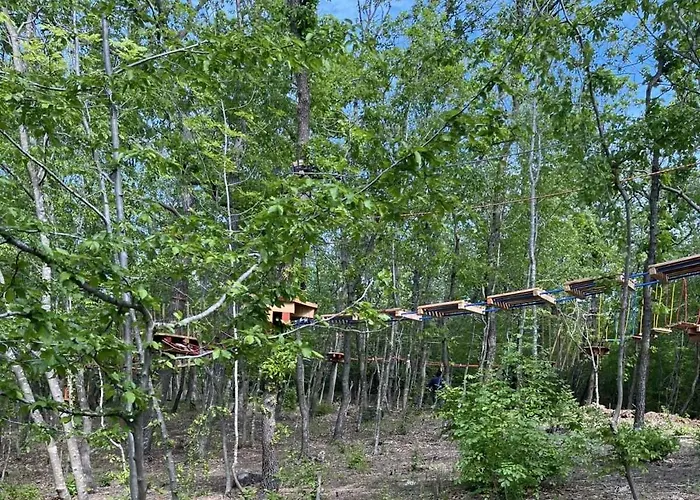 Park Bellevue 金沙