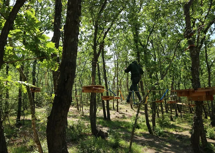 Park Bellevue 酒店