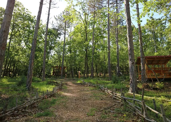 Park Bellevue 酒店 3*