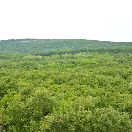 Отель Park Bellevue 3*