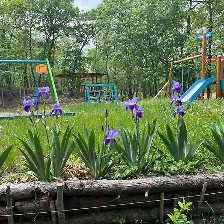 Park Bellevue Otel 3*