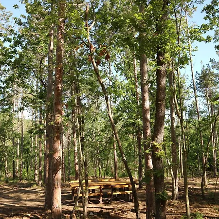 Park Bellevue Otel Altın Kumlar