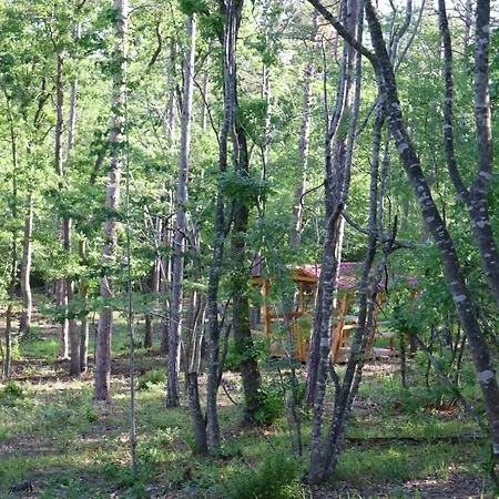 Park Bellevue 3* Zlate písky