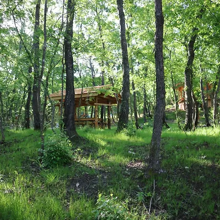 Отель Park Bellevue