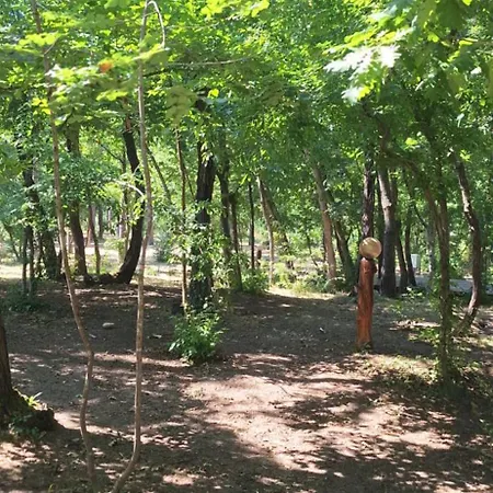 Отель Park Bellevue