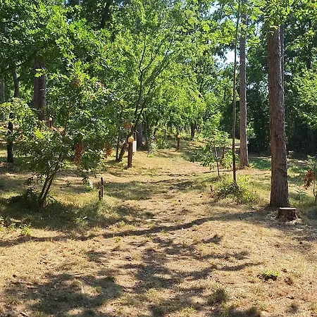 Park Bellevue 3*