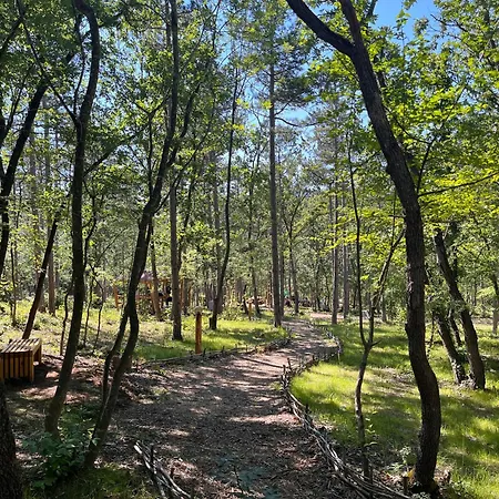Park Bellevue