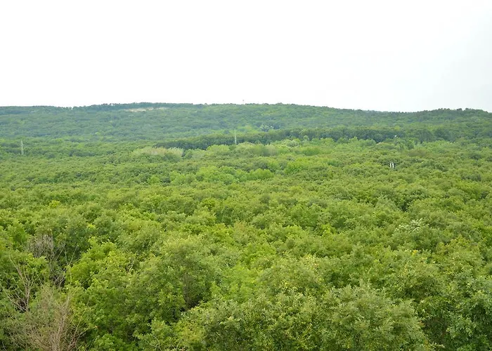 Hotel Park Bellevue 3*