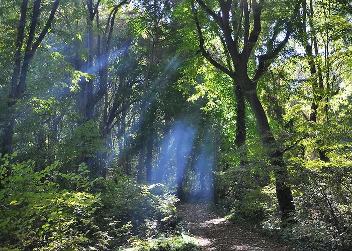 Hotel Park Bellevue Złote Piaski