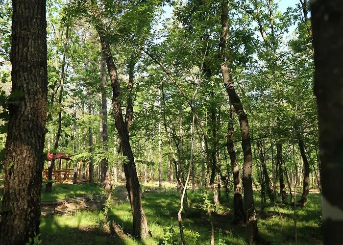 Hotel Park Bellevue 3*