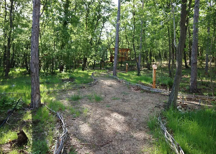 Hotel Park Bellevue Golden Sands