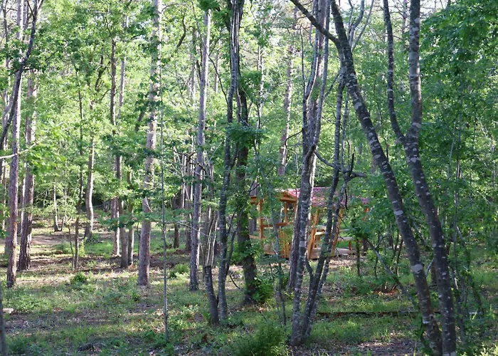 Park Bellevue 3* Golden Sands